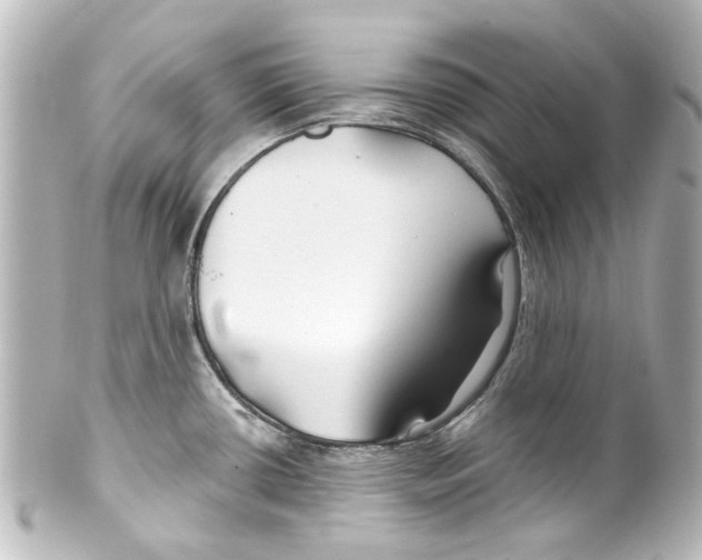 X0000100211434200806271654