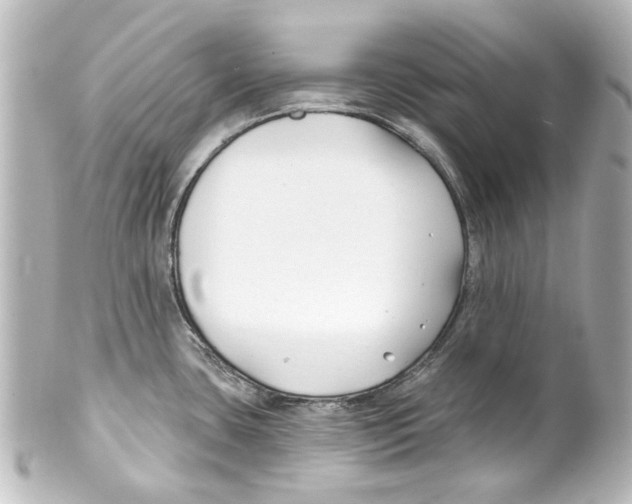 X0000100211435200806271654