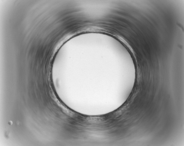 X0000100211437200806271654