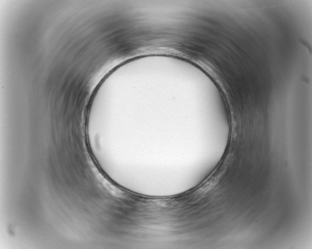 X0000100211438200806271654