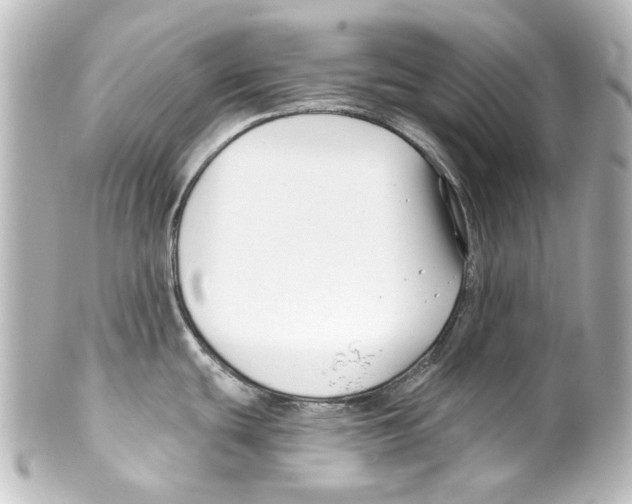 X0000100211439200806271654