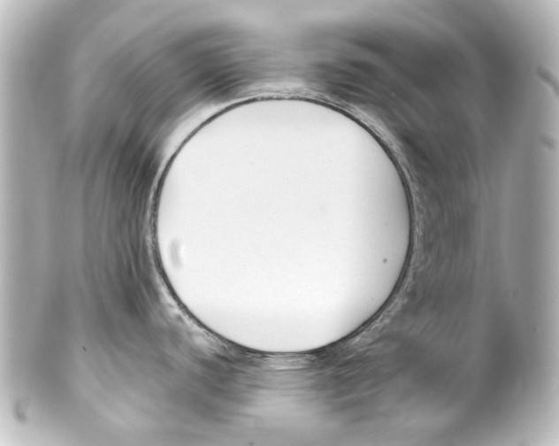 X0000100211440200806271654