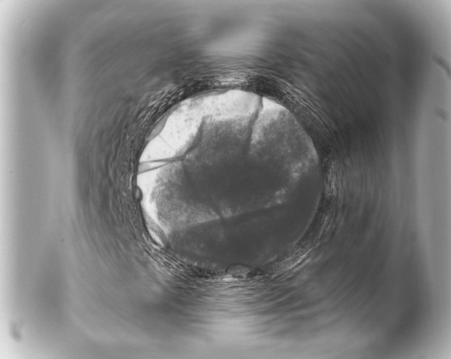X0000100211441200806271653