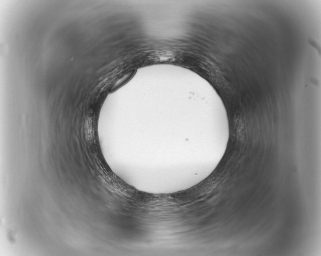 X0000100211442200806271653