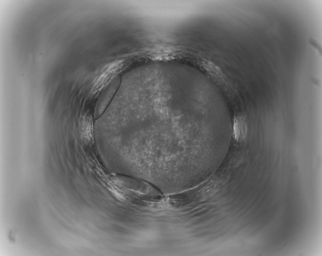 X0000100211444200806271653