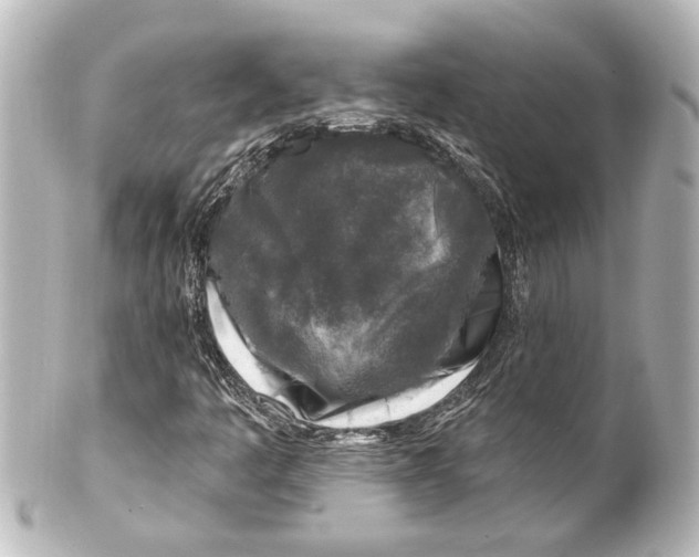 X0000100211445200806271653