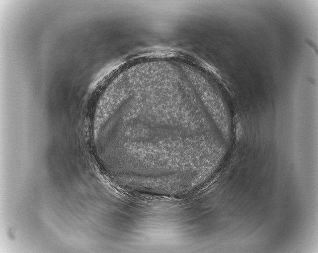 X0000100211448200806271653