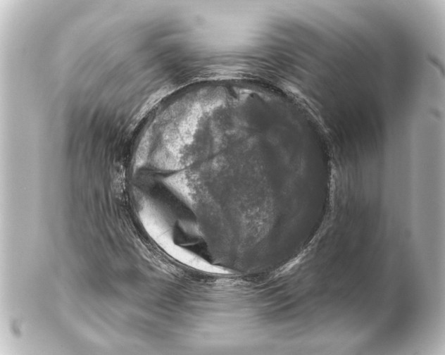 X0000100211449200806271653