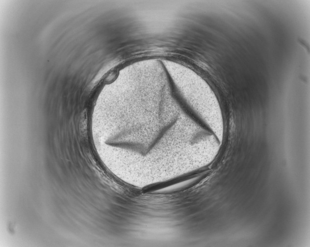 X0000100211450200806271653