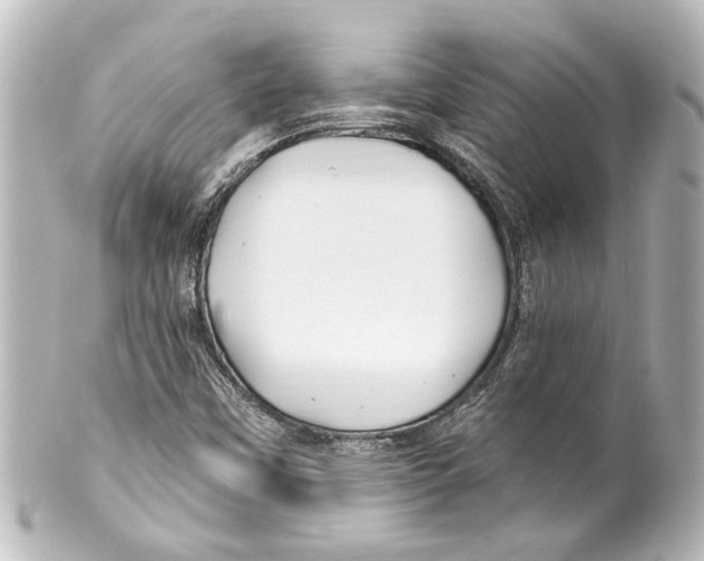X0000100211451200806271653