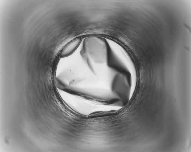 X0000100211452200806271653