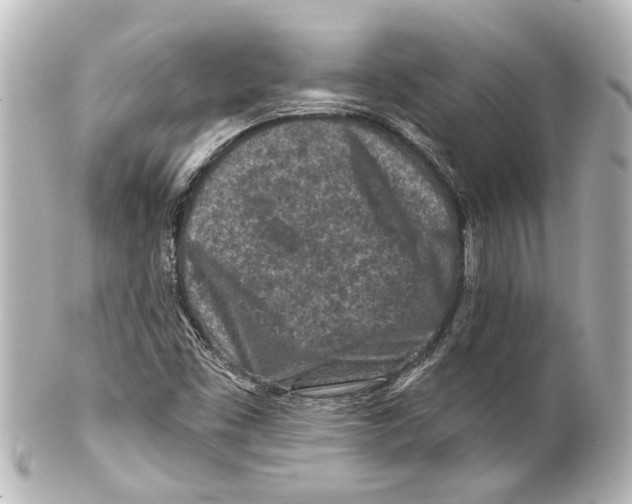 X0000100211453200806271653