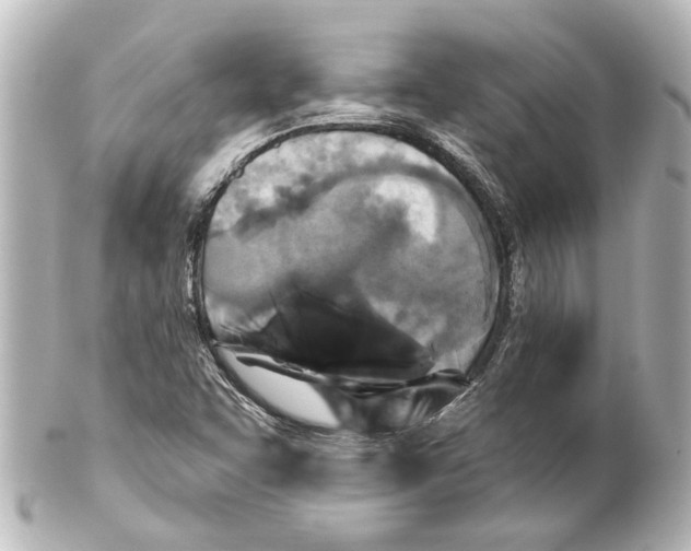 X0000100211455200806271653