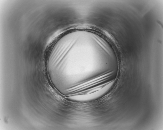 X0000100211456200806271653