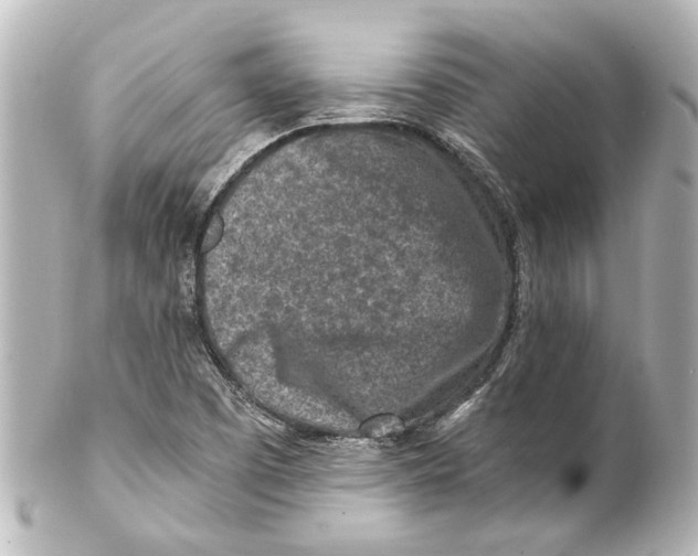 X0000100211457200806271653