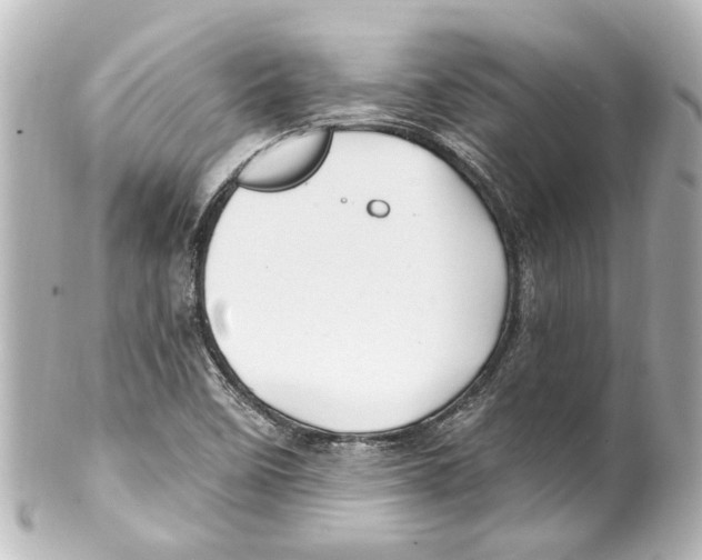 X0000100211458200806271653