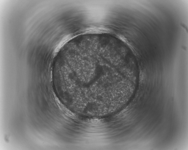 X0000100211459200806271653
