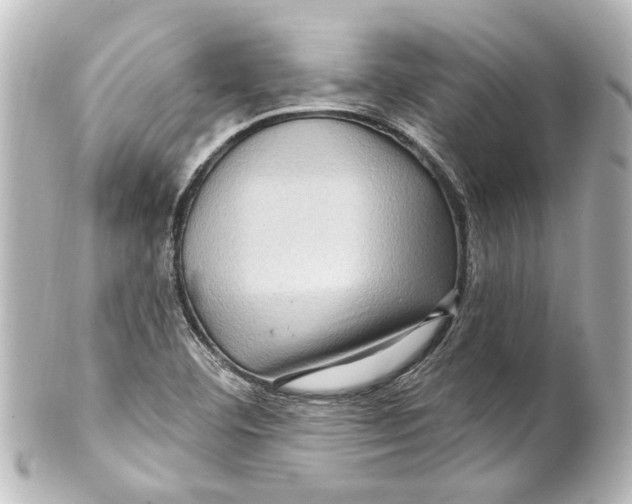 X0000100211460200806271653