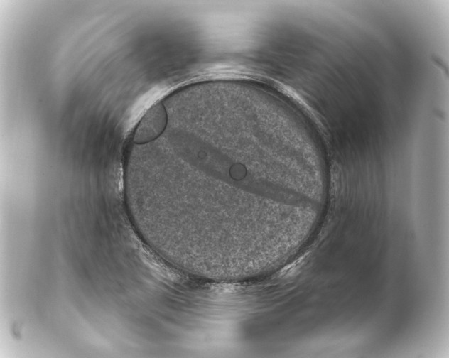 X0000100211461200806271653