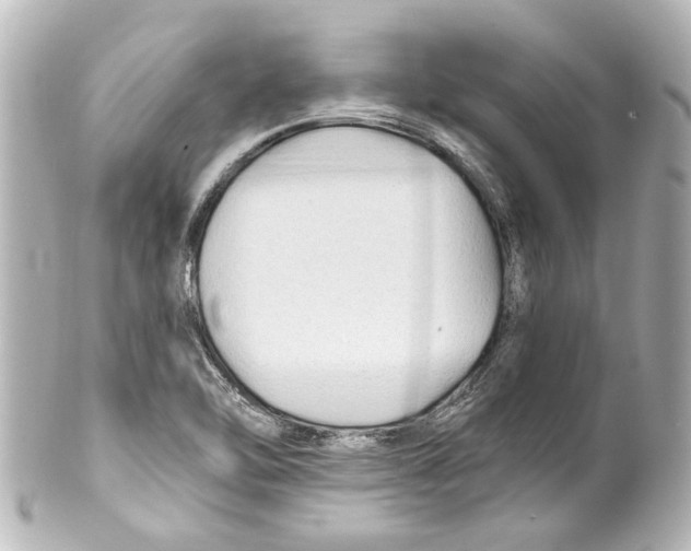 X0000100211462200806271653