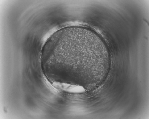 X0000100211463200806271653