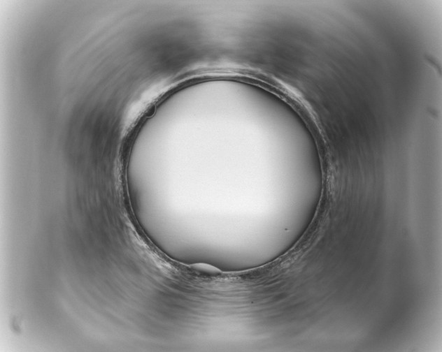 X0000100211464200806271653