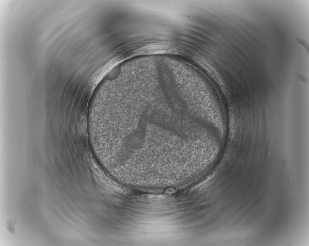 X0000100211465200806271653