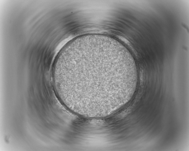X0000100211466200806271653
