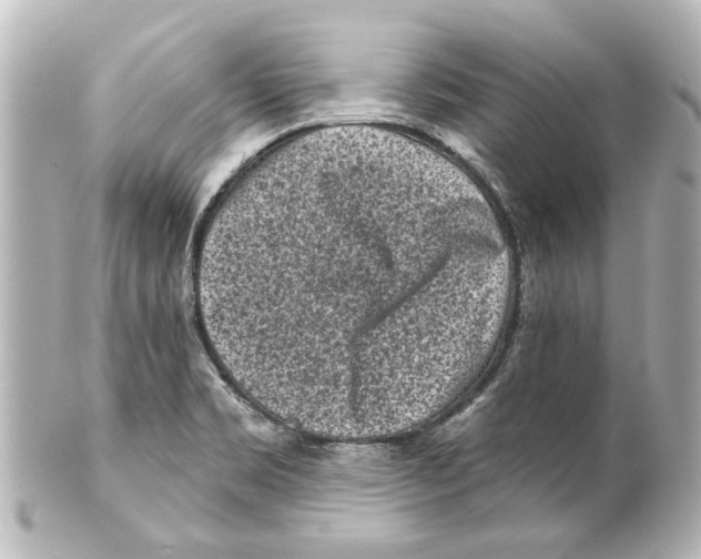X0000100211469200806271653