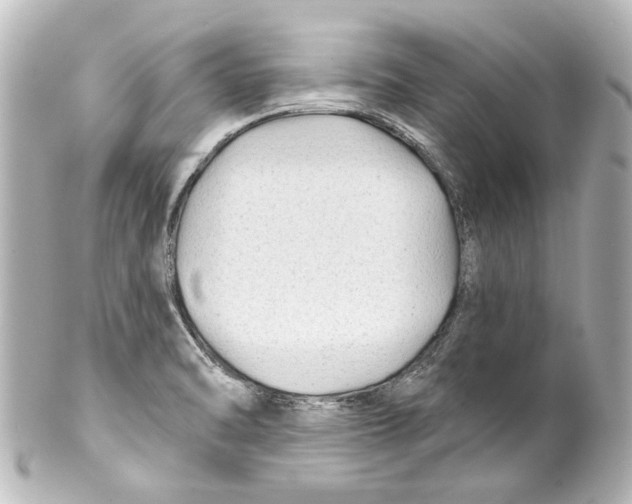 X0000100211470200806271653
