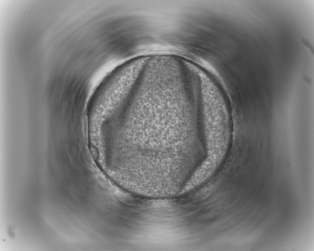 X0000100211472200806271653