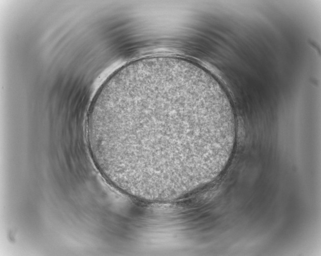 X0000100211474200806271653