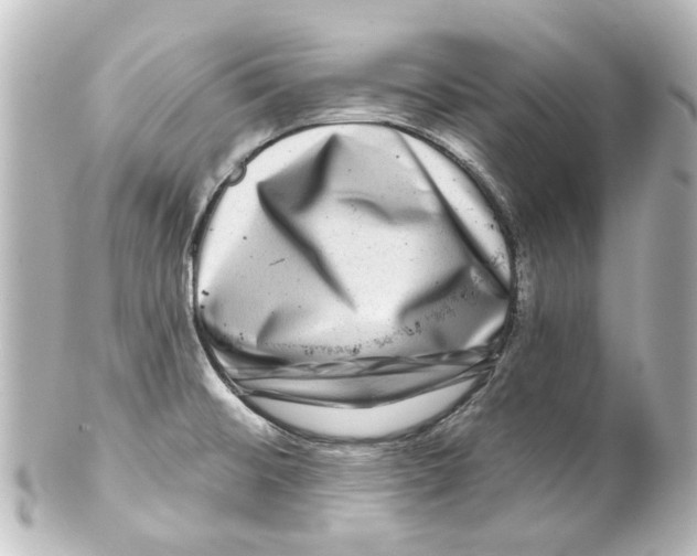 X0000100211476200806271653