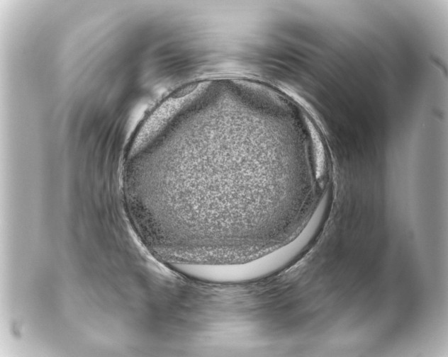 X0000100211477200806271653