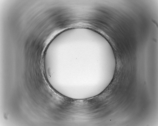 X0000100211478200806271653