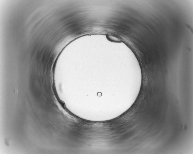 X0000100211479200806271653