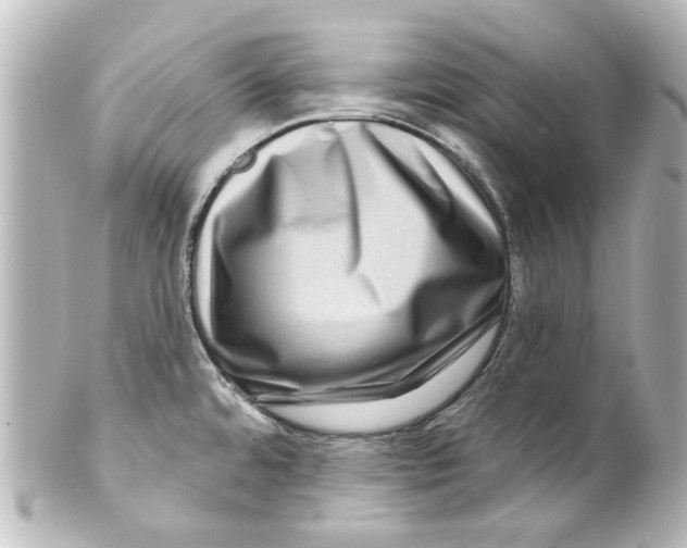 X0000100211480200806271653