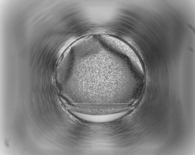 X0000100211481200806271653