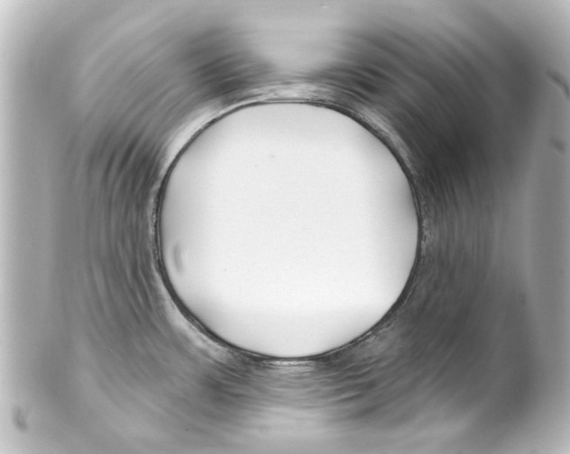 X0000100211483200806271653