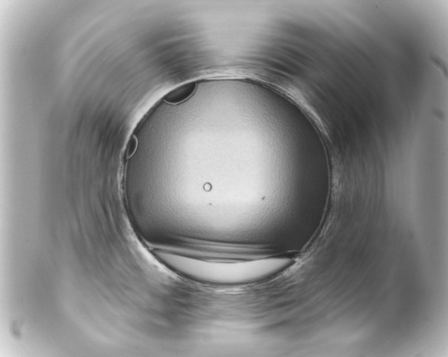 X0000100211484200806271653