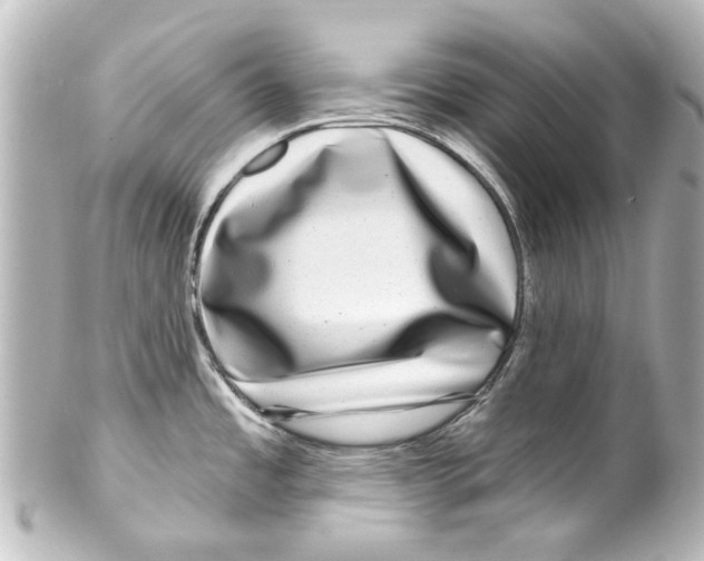 X0000100211485200806271653