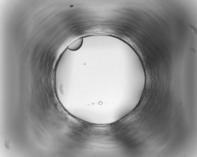 X0000100211486200806271653