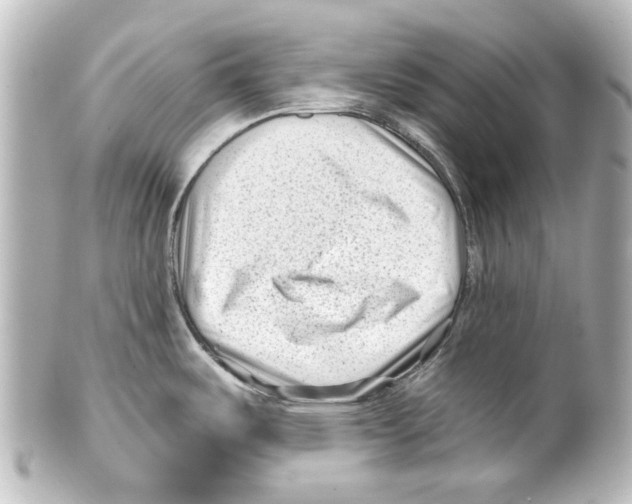 X0000100211487200806271653