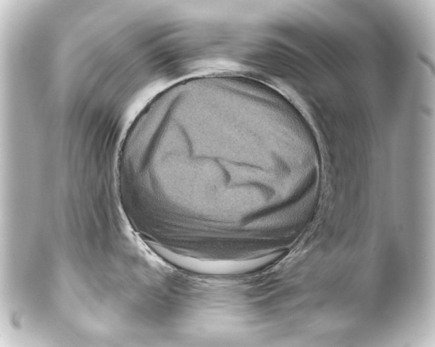 X0000100211488200806271653