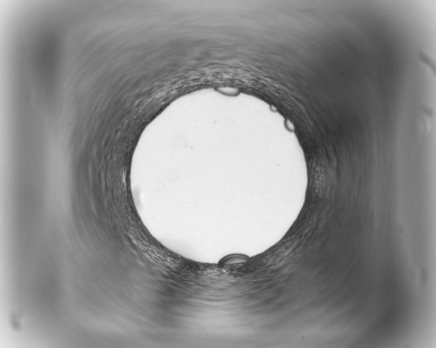 X0000100211489200806271652