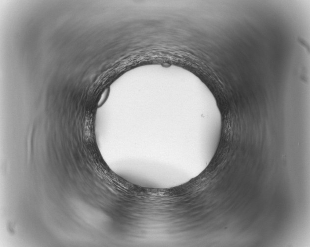 X0000100211490200806271652
