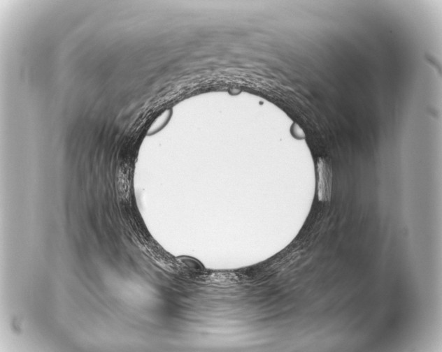 X0000100211491200806271652