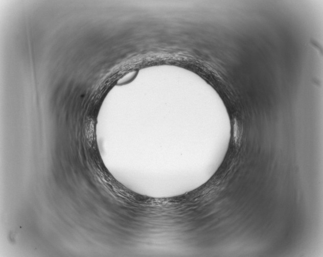 X0000100211492200806271652