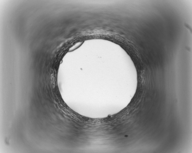 X0000100211493200806271652