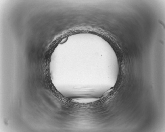 X0000100211494200806271652